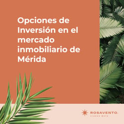 Opciones de Inversión en el mercado inmobiliario de Mérida_fb2
