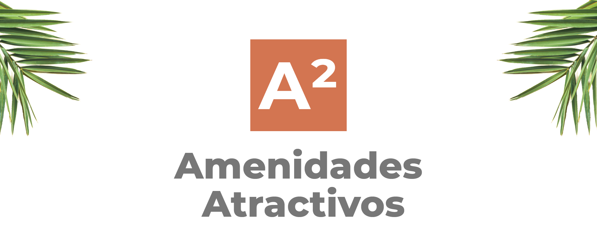 Enmascarar grupo 24-1