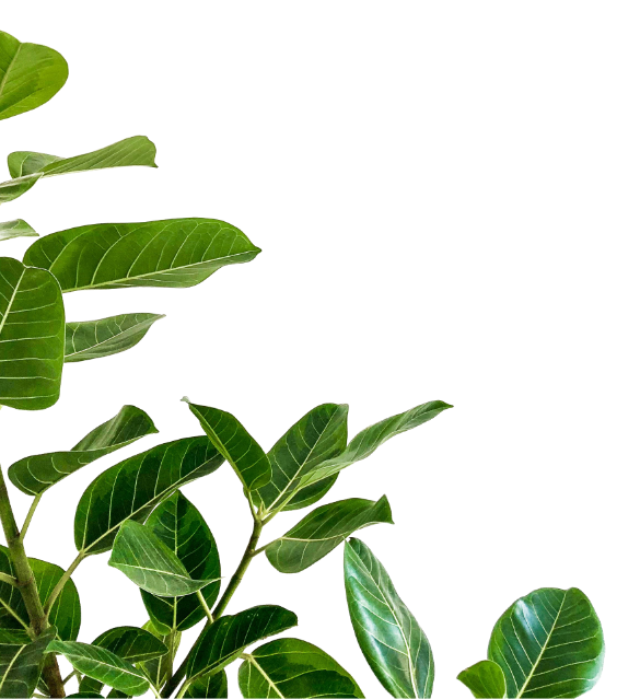 josh-calabrese-XXpbdU_31Sg-unsplash-1